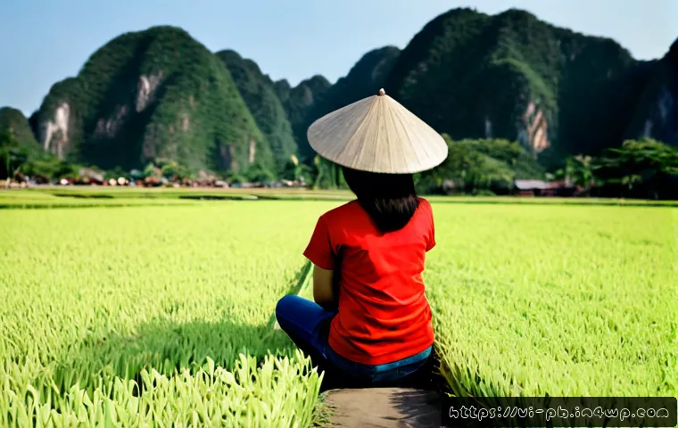 Thiết kế đô thị dễ đi bộ theo sinh thái học: tiêu chí quy hoạch, chi phí và cách chọn giải pháp 4 워커블 시티 디자인의 생태학적 접근 관련 이미지 2